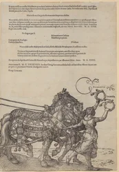Experientia, Blatt 8 der Folge "Der Große Triumphwagen"