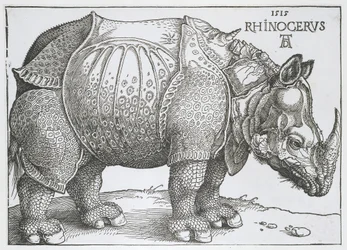 Nashorn