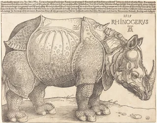 Das Nashorn