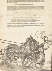 Der Triumphwagen von Maximilian I Der große Triumphwagen [Tafel 8 von 8], 1523 lateinische Ausgabe