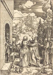 Die Heimsuchung