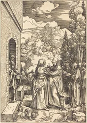 Die Heimsuchung