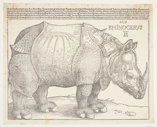 Das Nashorn