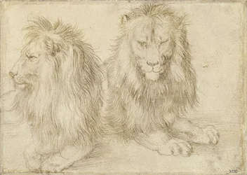 Zwei sitzende Löwen, 1521