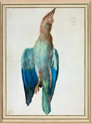 Blaue Rolle
