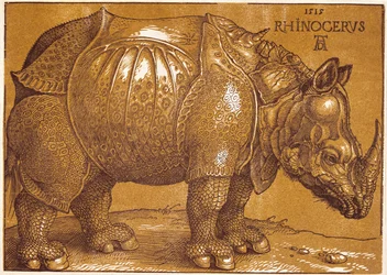 Das Nashorn