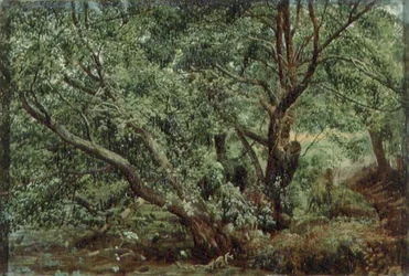 Bäume an einem Bach