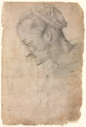 Profil eines Frauenkopfes (recto)