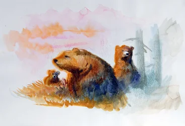 Natürliche Bärenfamilie Illustration von Alessandro Lonati