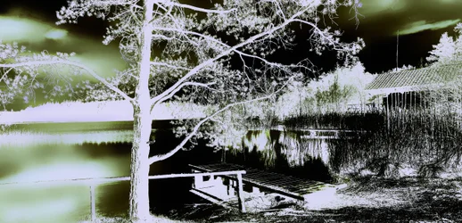 Geheimer Garten, 2019