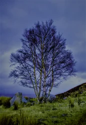 Zweifarbige Landschaft