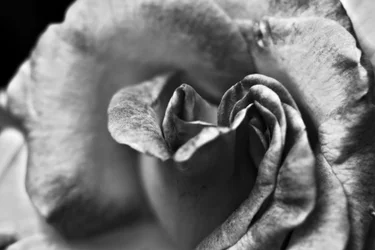 Ohne Titel