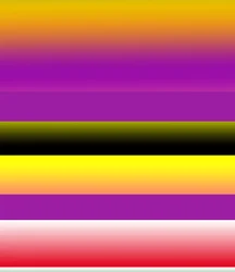 Gradient C, 2019