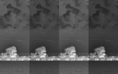 Musikalische Segmente