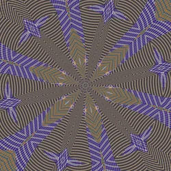 Symmetrie #38