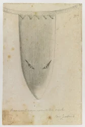 Ornamentaler Halskragen, aus 