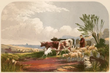 Illustration für Goldsmiths 