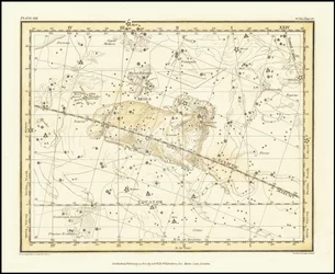 1822 - Alexander Jamieson - Widder