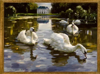 A. Koester, Schwäne in Nymphenburg