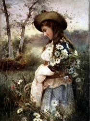 Margueriten sammeln