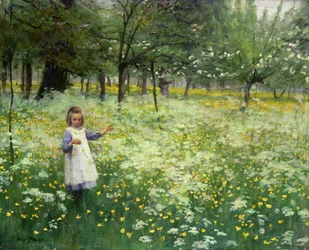 Silber und Gold aufsammeln, 1906