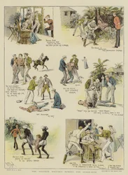 Das Heilmittel des Amateurarztes gegen Schlangenbiss