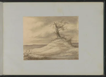 Baum auf einem Hügel