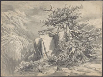Gebrochener Baum in einer Gebirgslandschaft