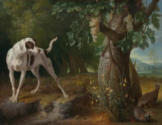 Hund zeigt Rebhühner in einer Landschaft an