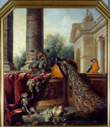 Stillleben mit Pfau, Papagei, Affe und Trauben