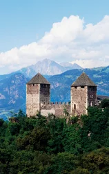 Burg Leone