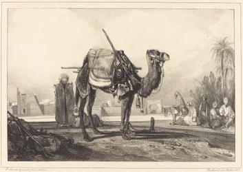Kamel und Araber