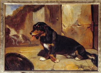 Ein Basset-Hund. Jagdhunde in Ruhe