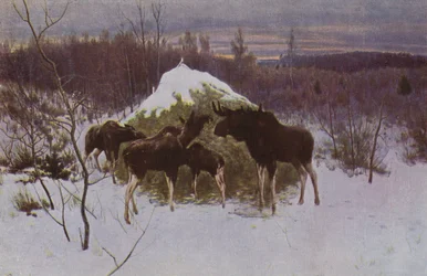 Elchherde, 1889