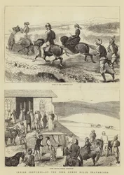 Indische Skizzen, auf den Peer Merde Hügeln, Travancore