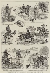 Die Abenteuer von zwei entlaufenen Pferden und was daraus wurde