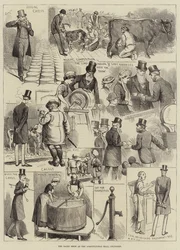 Die Milchviehschau in der Agricultural Hall, Islington