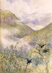 Blick über die Lilien: Das Tal von Nikko, Blick nach Osten in Richtung der Provinz Shimo-no-Tsuke, ca. 1889