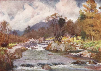 Lake District: Narzissen an den Ufern des silbernen Duddon