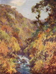 Der Dargle, County Wicklow