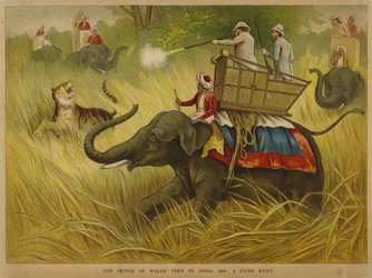 Edward, Prinz von Wales, schießt Tiger bei einem Besuch in Indien