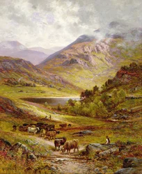 Langhornrinder in einer bergigen Landschaft
