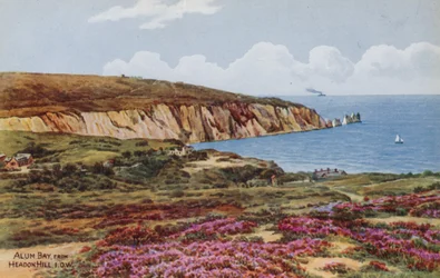 Alum Bay, von Headon Hill, IOW