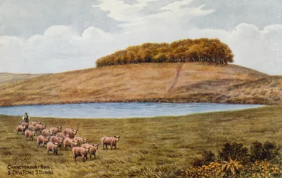 Chanctonbury Ring und Dew Pond, S Downs