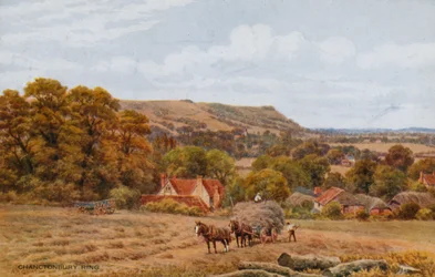 Chanctonbury Ring bei Worthing