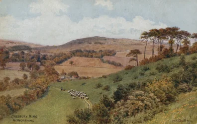 Cissbury Ring bei Worthing