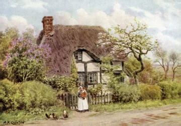 Flieder und Apfelblüten, Harvington, Worcester