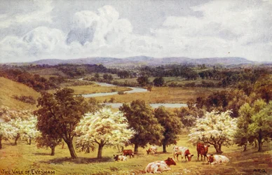 Das Tal von Evesham