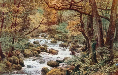 Torrent Walk, Dolgelley