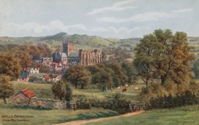 Wells Cathedral von Milton Hill